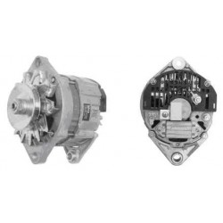 Alternatore Iveco 79/115/190 30AH 24V