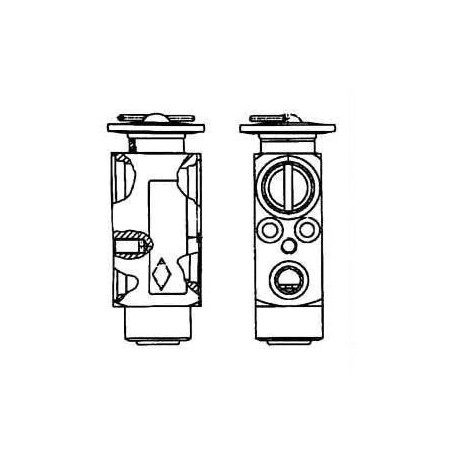 Expansion valve Daf 95 XF 01/97-09/02