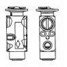 Expansion valve Daf 95 XF 01/97-09/02