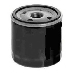 Oil Filter Ducato / Daily double filtration
