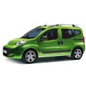 Fiorino  - Qubo dal 2009