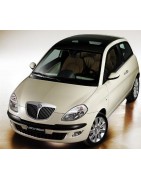 Ypsilon dal 2003